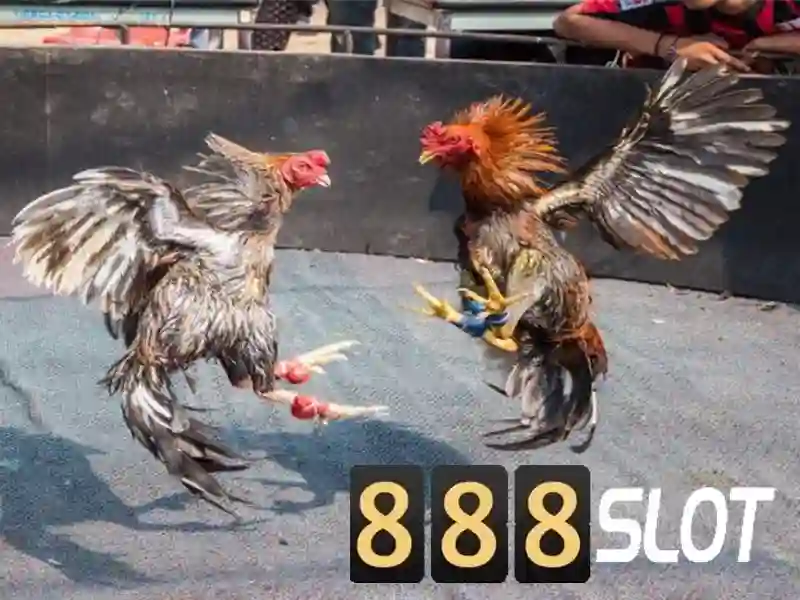 ppp 888 slot – Tổng quan chủ đề và giá trị cốt lõi