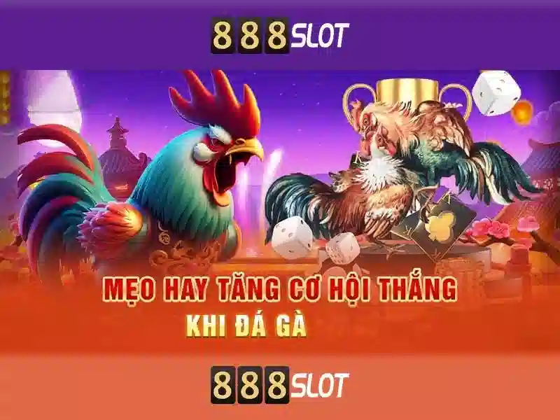 Trò chơi và ưu thế\n<h2><b>Khuyến mãi và thanh toán</b></h2>\n<p><span style=