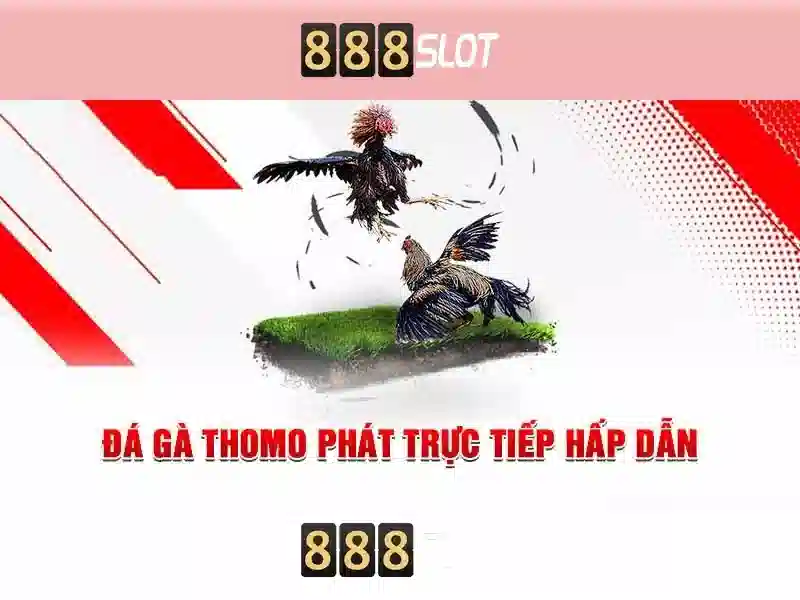 Trải nghiệm người dùng và giao diện