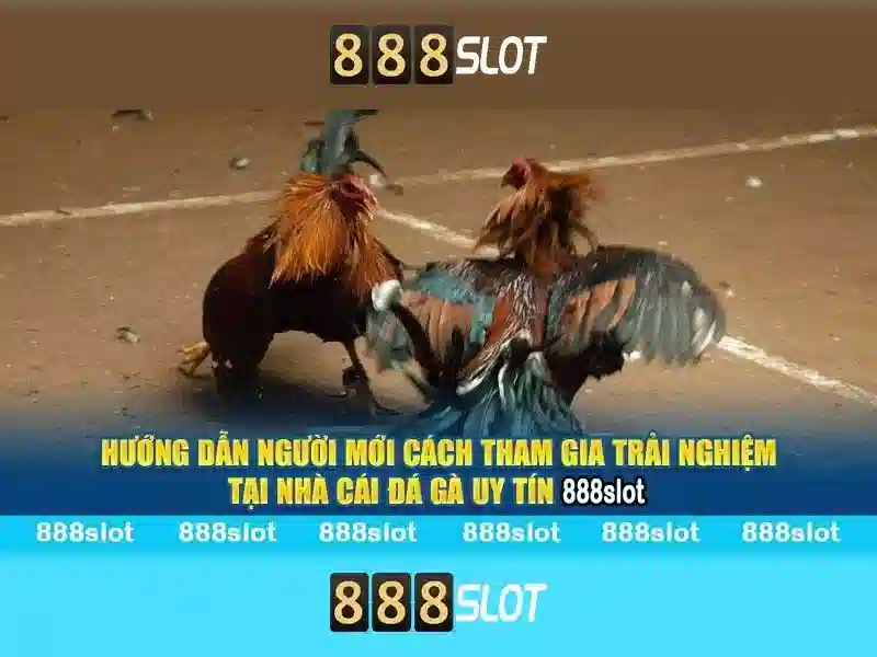 Tính an toàn và thanh toán