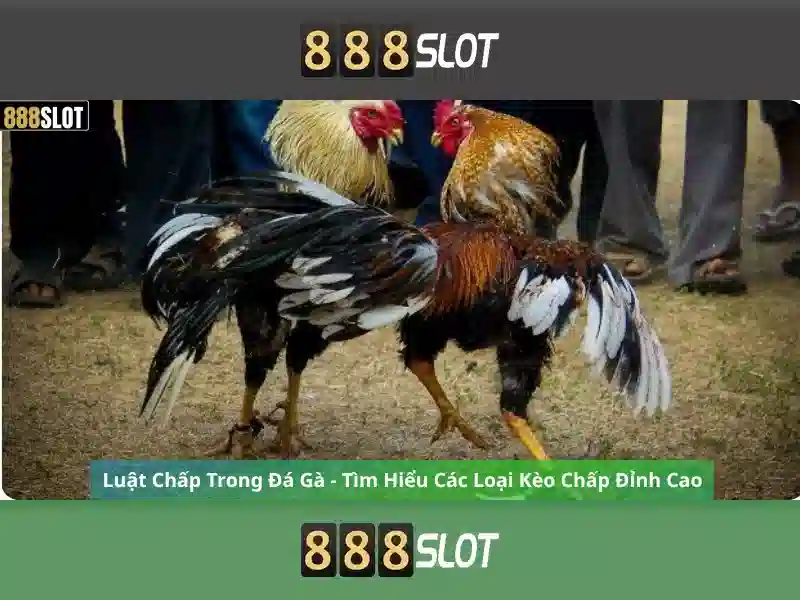 Giao diện nhà cái hoàn hảo
