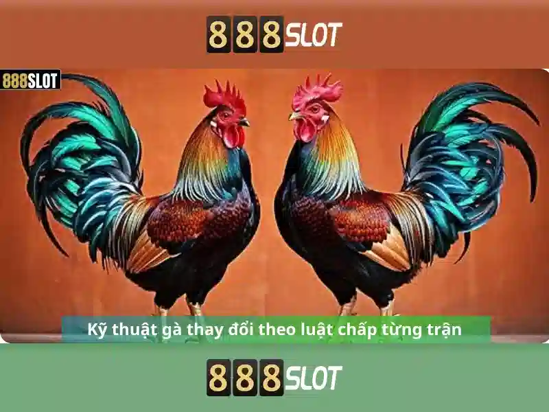 888slot: Đánh giá nền tảng chơi slot trực tuyến