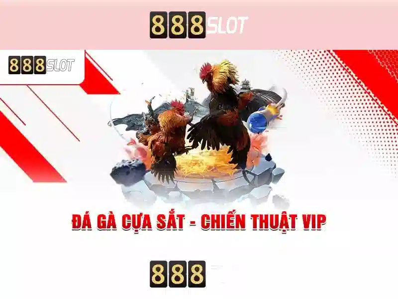 Trải nghiệm và trò chơi