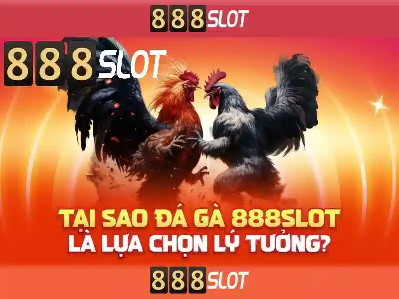 Giao diện nhà cái hoàn hảo