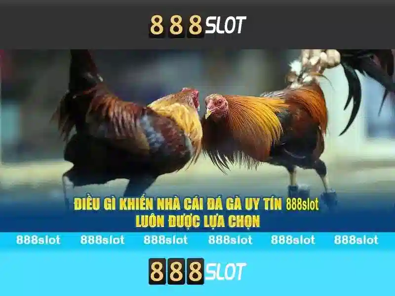 888slot - Đánh giá nền tảng slot trực tuyến nổi bật