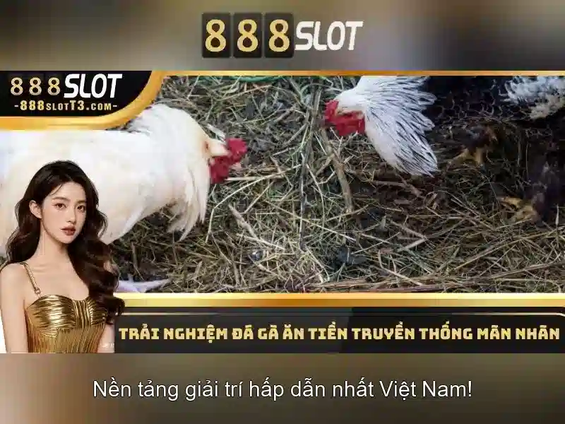 Tính năng nổi bật và đồ họa sống động