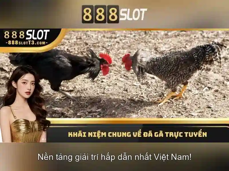 Khuyến mãi và chương trình thưởng