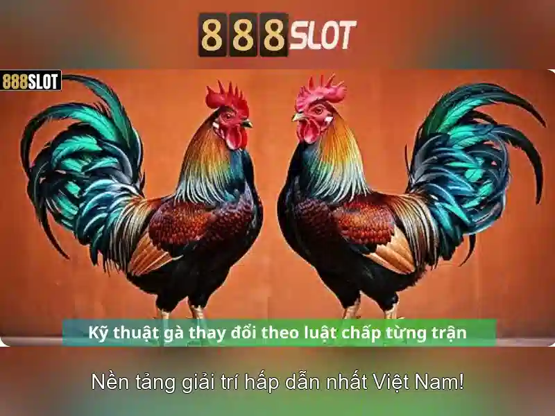 888slot: Đánh giá nền tảng máy đánh bạc trực tuyến