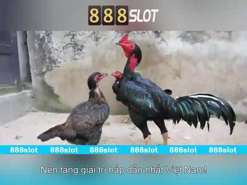 Lợi ích khi chơi tại 888slot\n<p><span style=