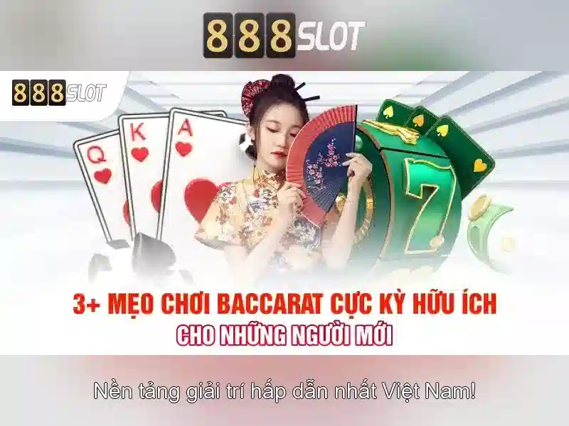 Khuyến mãi, thanh toán và hỗ trợ khách hàng
