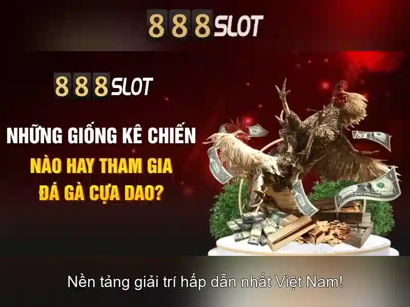 Giao diện nhà cái hoàn hảo