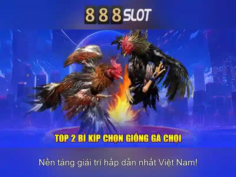 Giới thiệu về 888slot