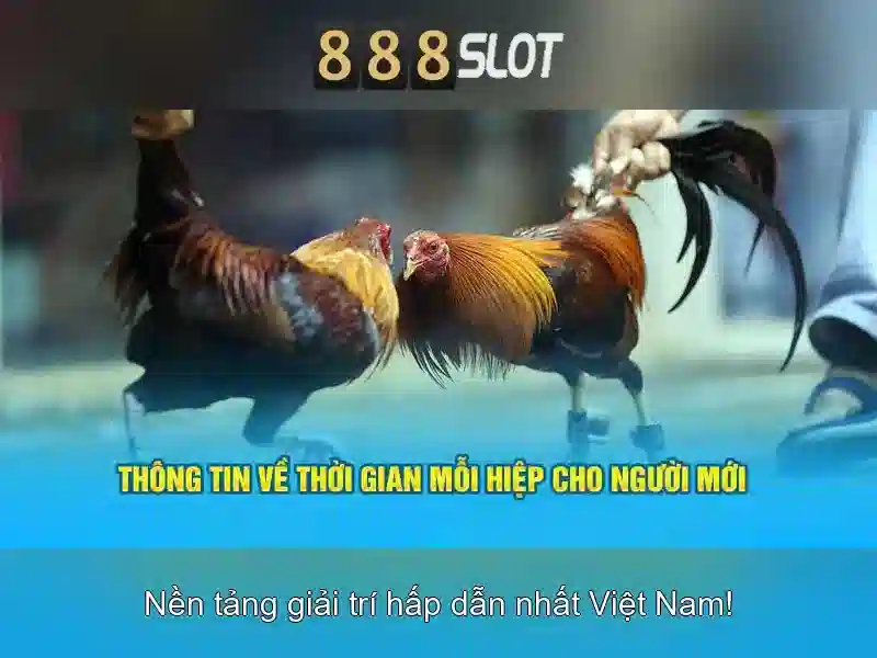 Giao diện nhà cái hoàn hảo