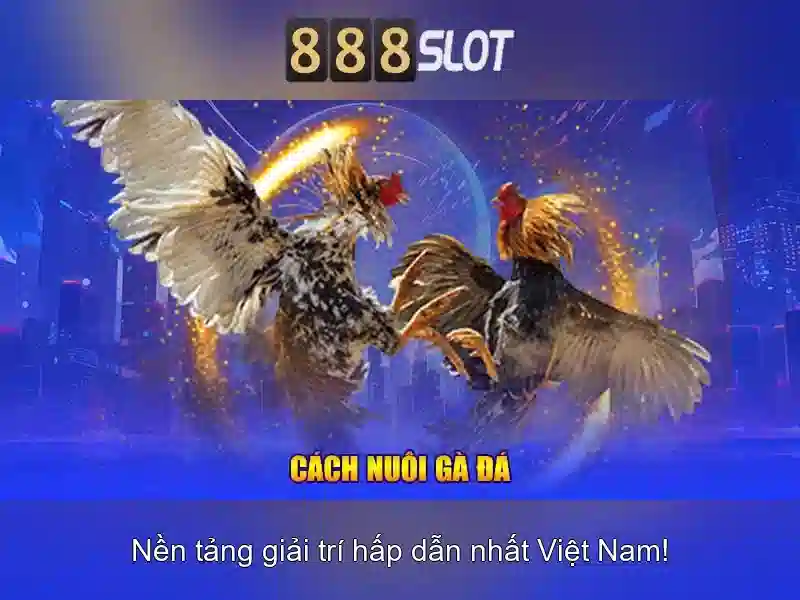 H2. Sản phẩm và dịch vụ chính: áp dụng thực tế xung quanh bunga 888 slot